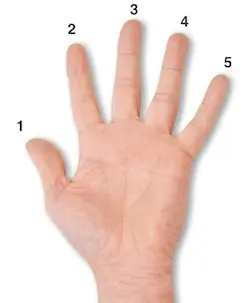 Hands Open